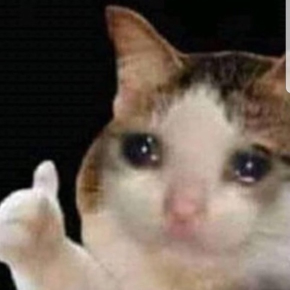 Meet your Posher, Michelle - Picture 1 of 1